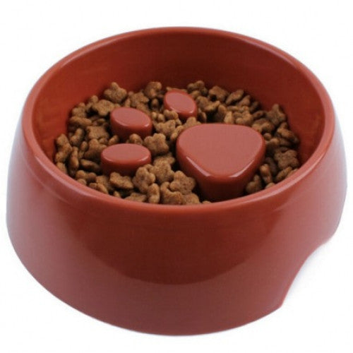 Anti Choke Diet Feeding Bowl